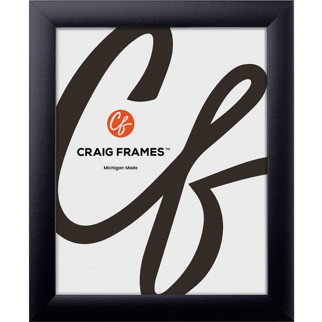 Craig Frames Contemporary Gallery Black Picture Frame